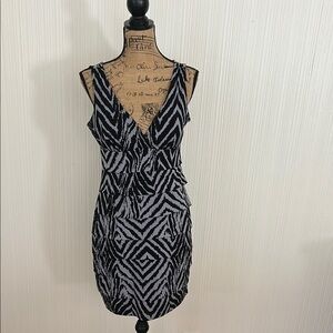 Enfocus Studio Black and White  Dress